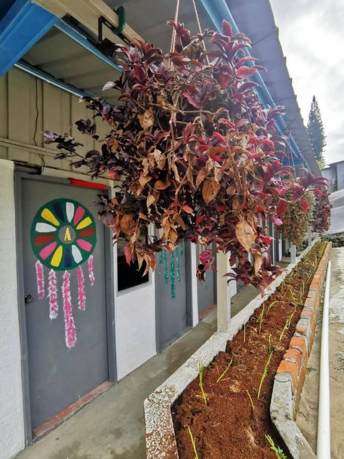 Dreamcatcher Homestay, Kundasang ราเนา ภายนอก รูปภาพ